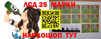 apvp Славгород