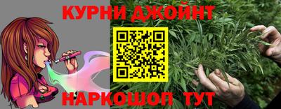 apvp Славгород
