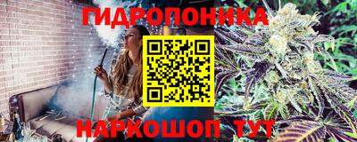 apvp Славгород