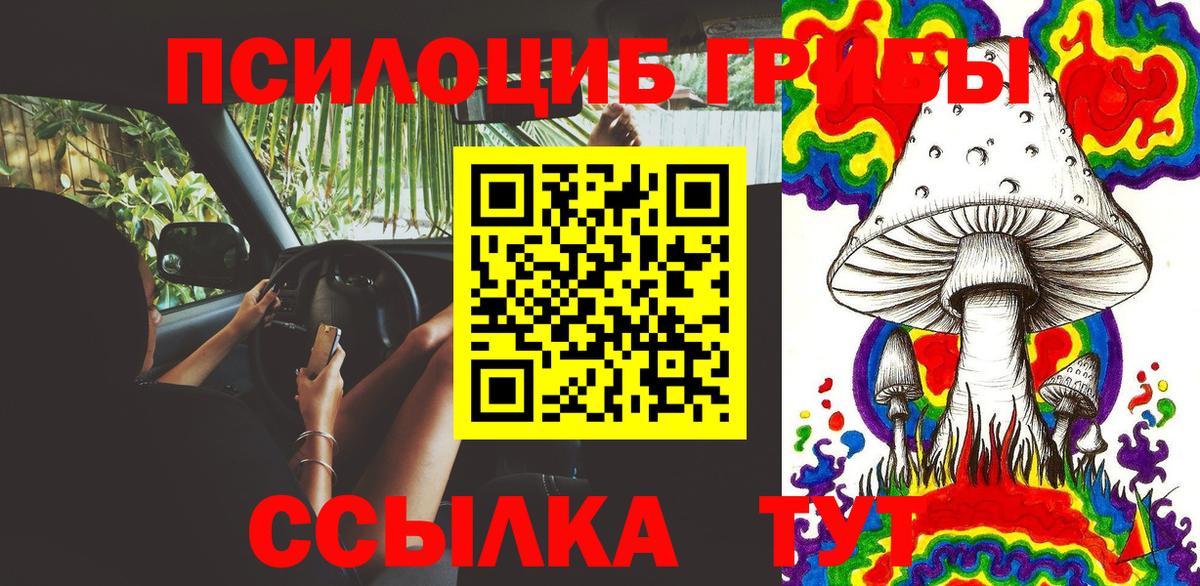 Галлюциногенные грибы прущие грибы Сибай